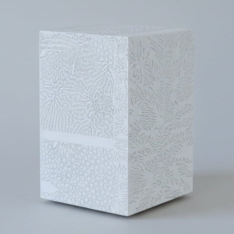 Chauncey Flay - Seawall