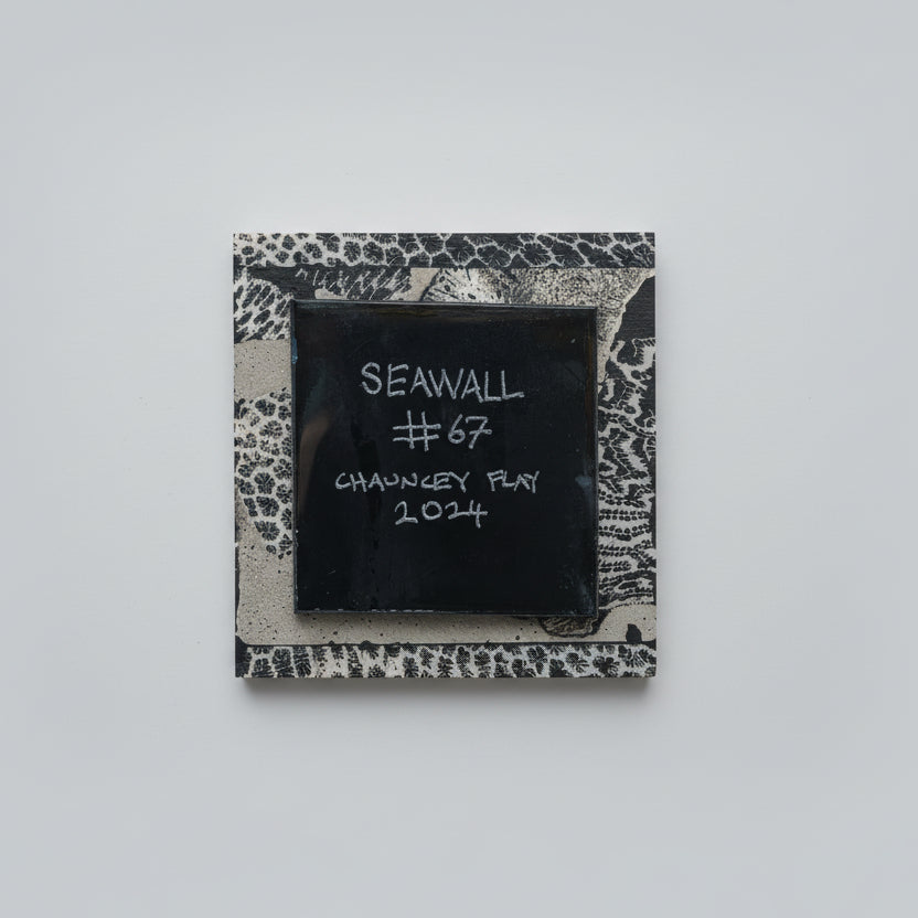 Chauncey Flay - Seawall