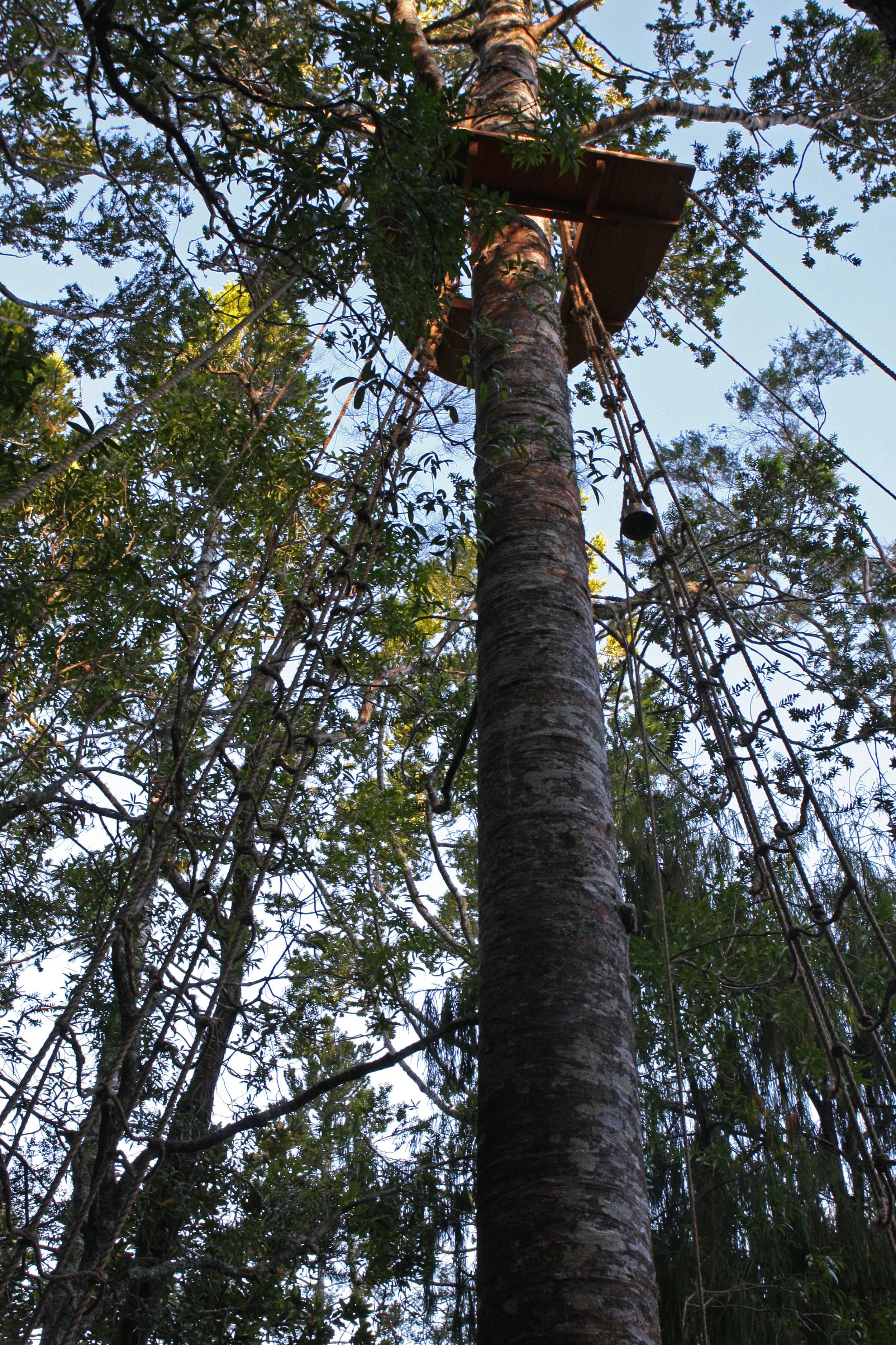 A Stick of First Rate Quality