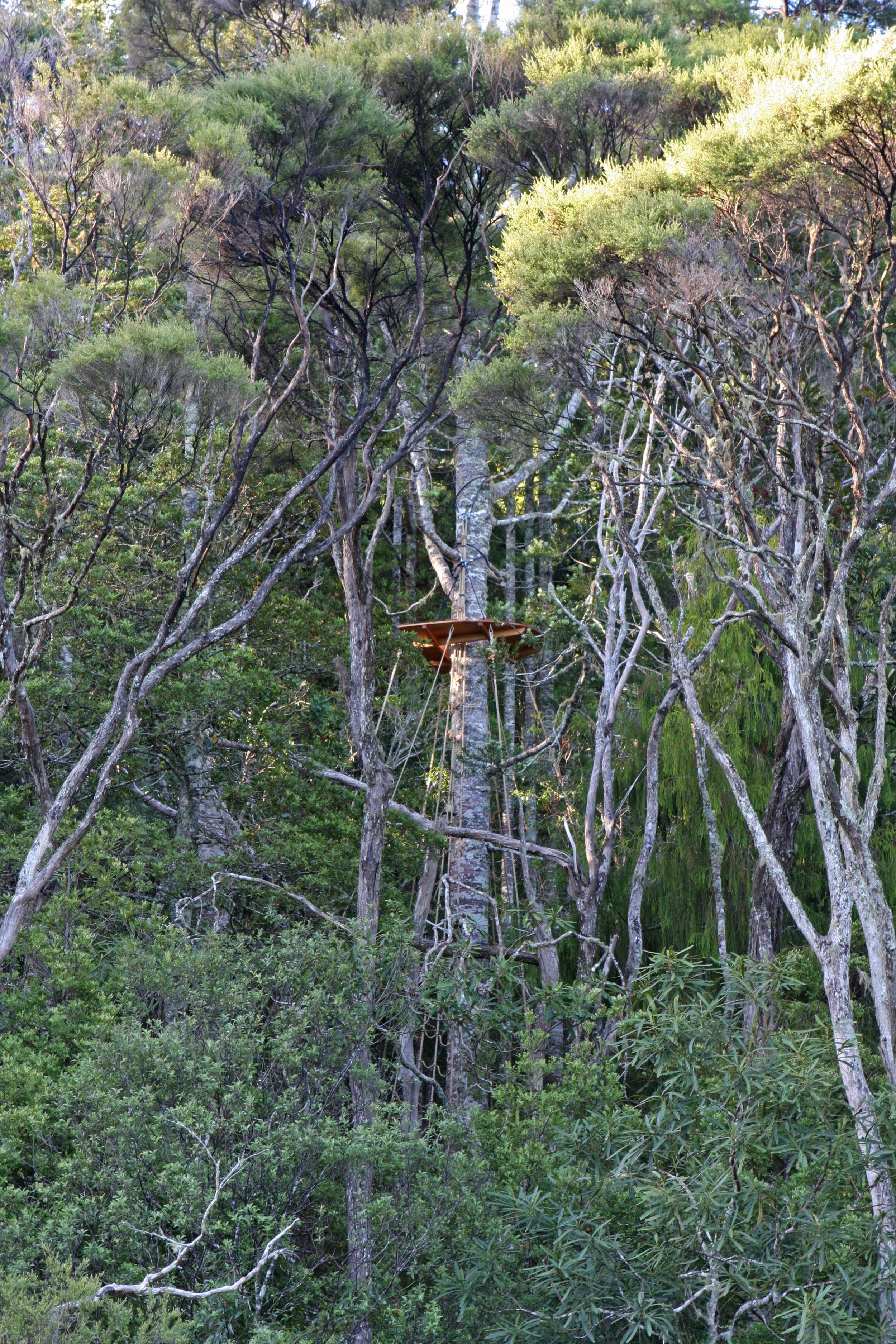 A Stick of First Rate Quality