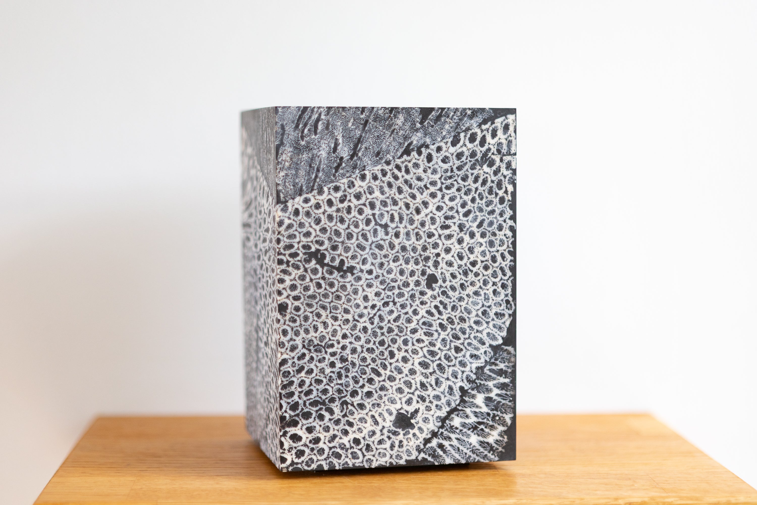 Chauncey Flay - Seawall