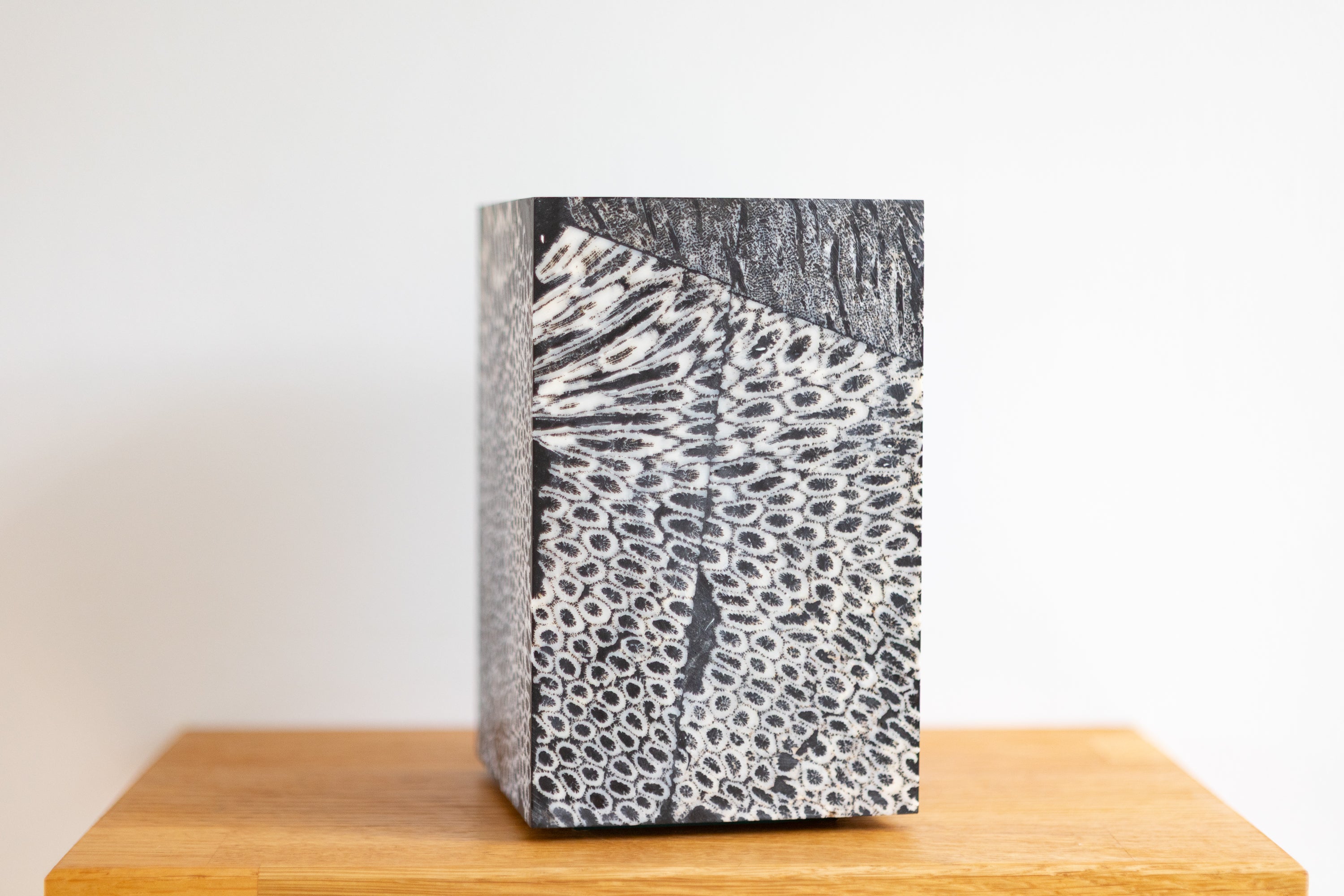 Chauncey Flay - Seawall