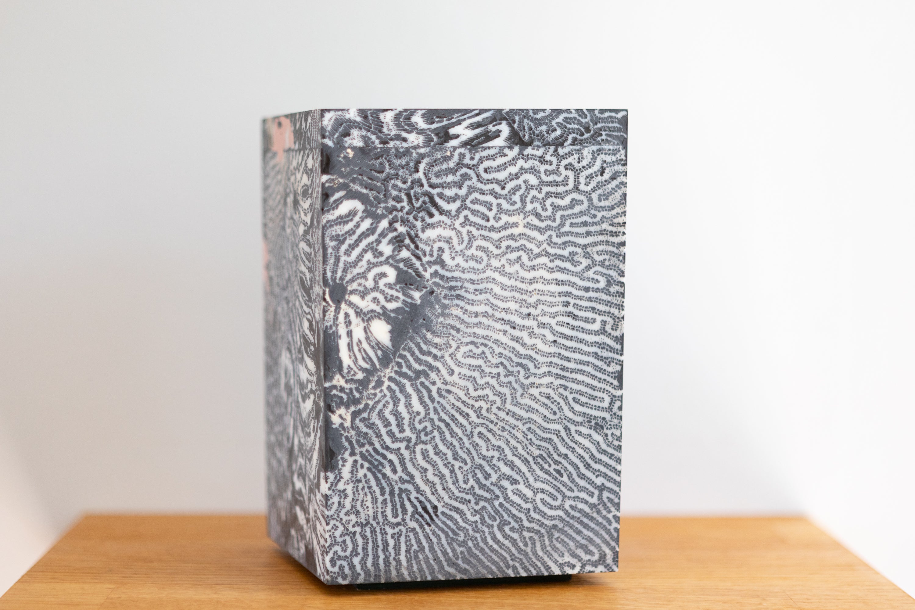 Chauncey Flay - Seawall