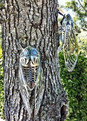 Virginia King, Cicada (closed wings)