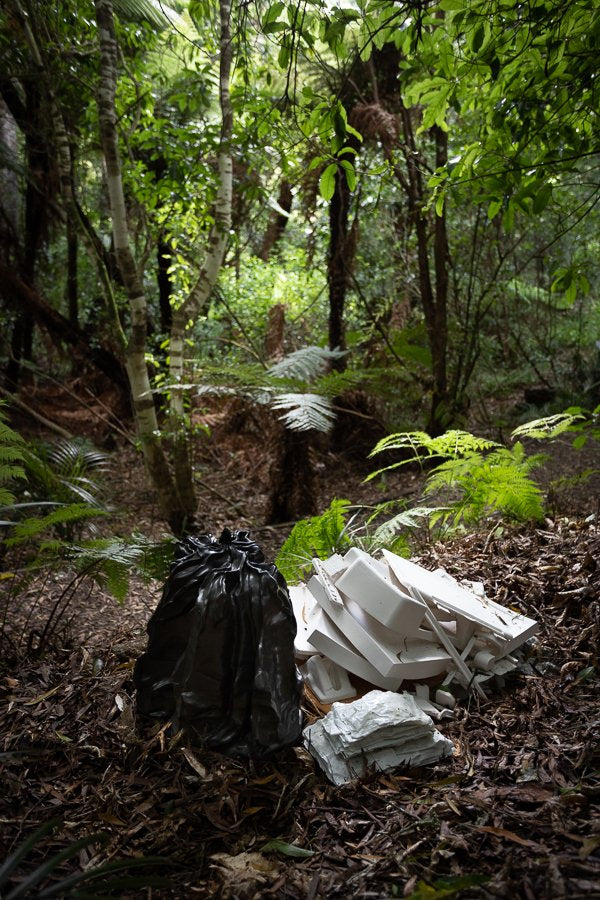 The Symphony Of Worth And Worthlessness