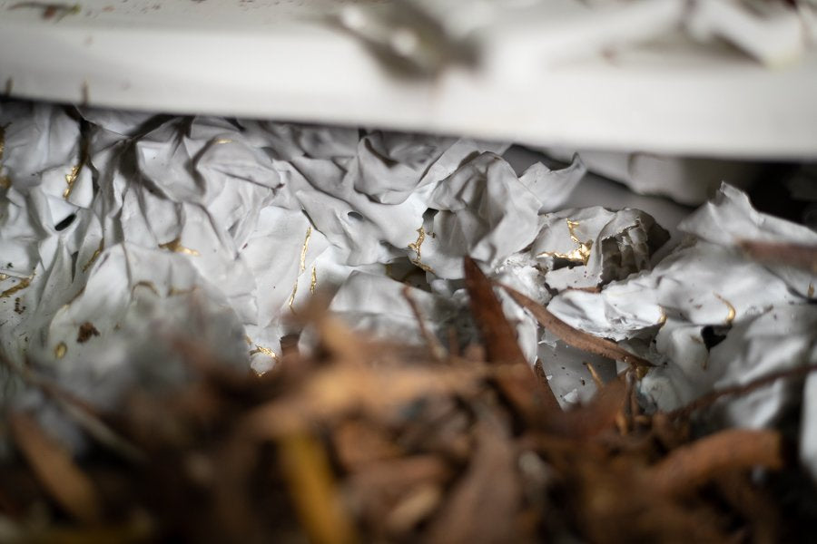 The Symphony Of Worth And Worthlessness