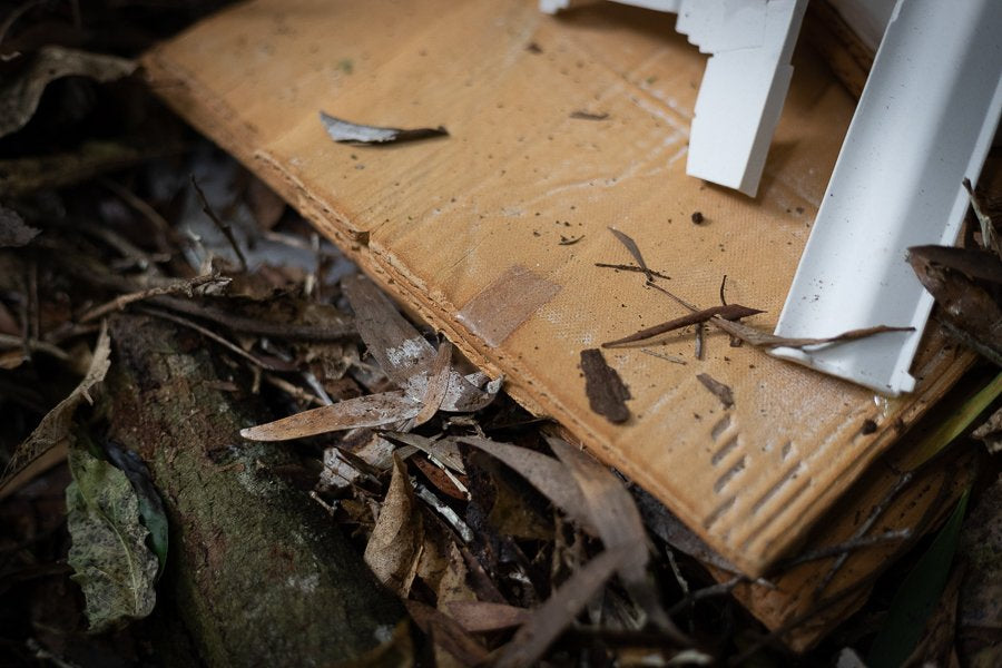 The Symphony Of Worth And Worthlessness