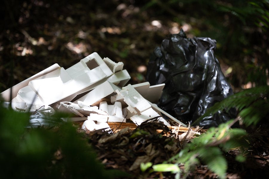 The Symphony Of Worth And Worthlessness