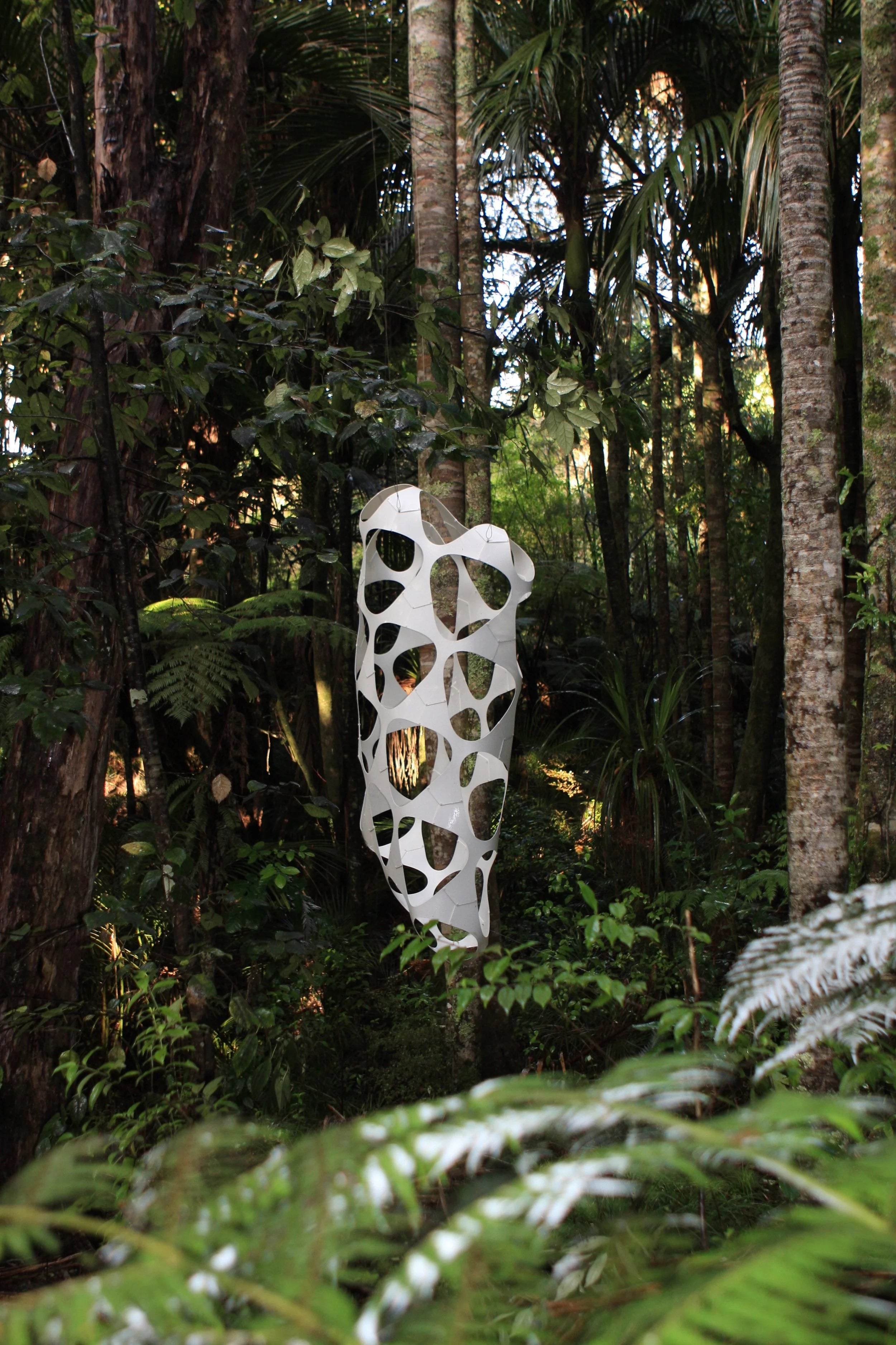 Counterbalancing Entropy