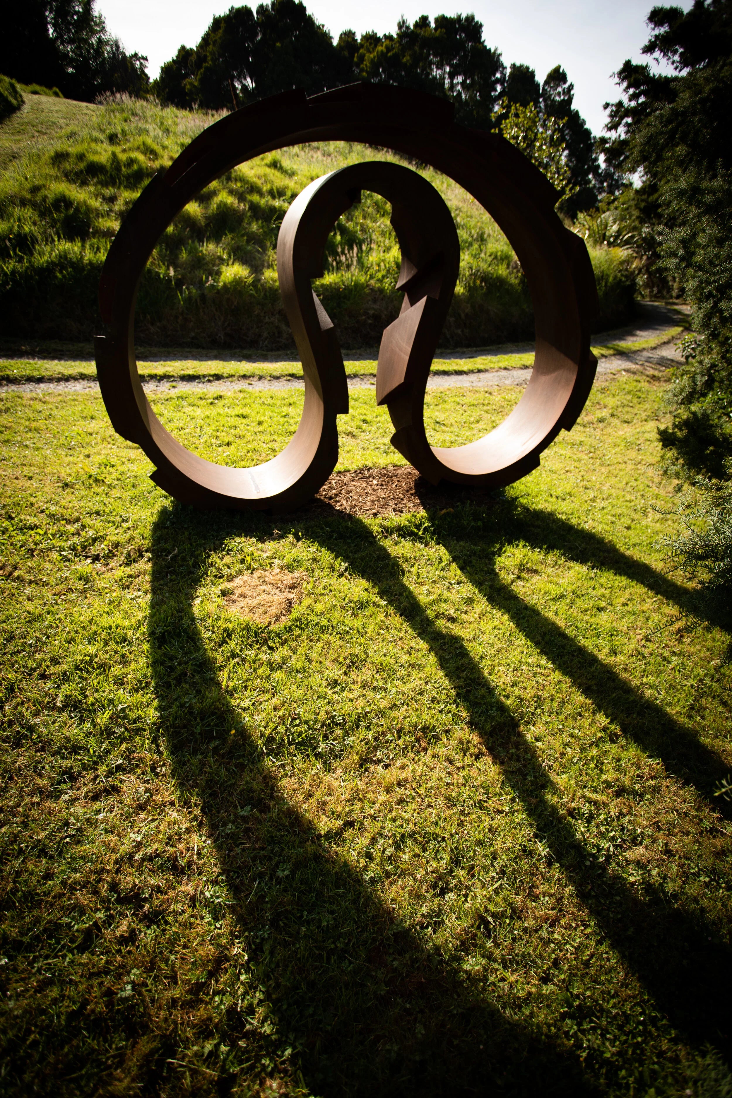 Involute and Transmission