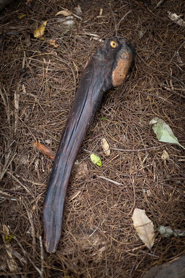 Wake-Up Call (A Vibration From Within)