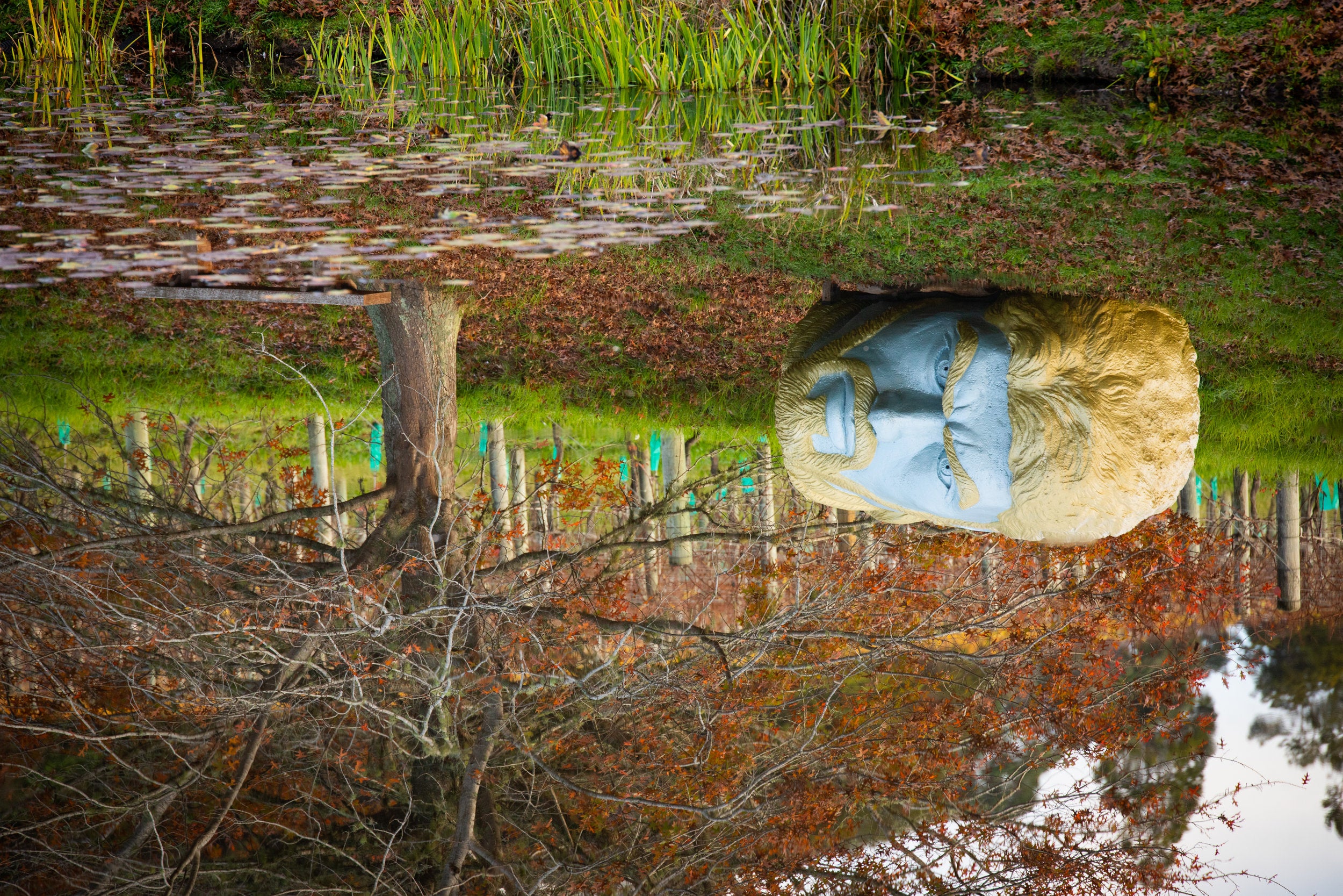 The Psychosis Chamber Of The Oracle