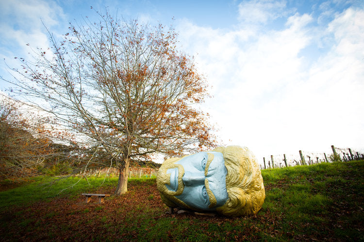 The Psychosis Chamber Of The Oracle