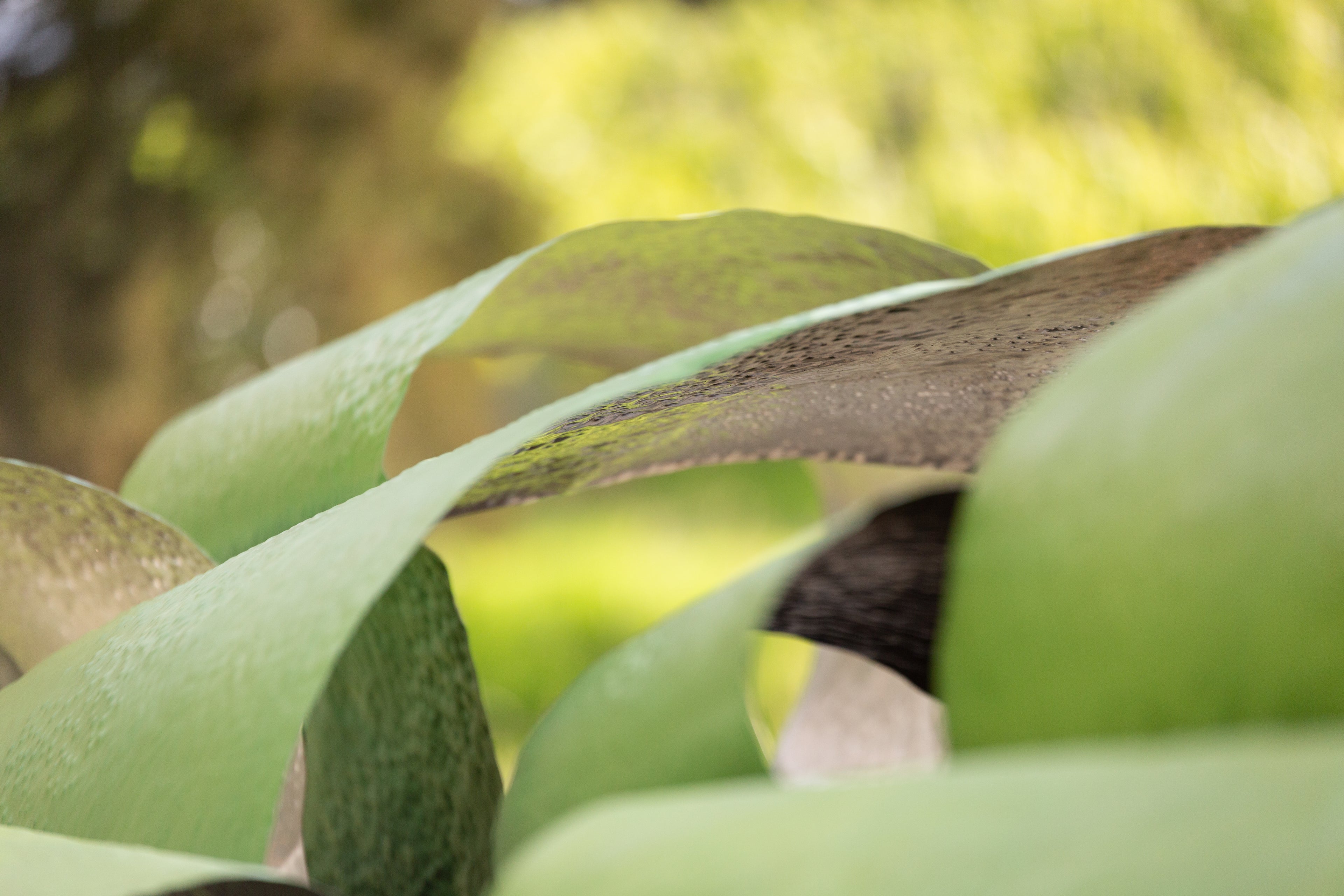 Small holes in the silence