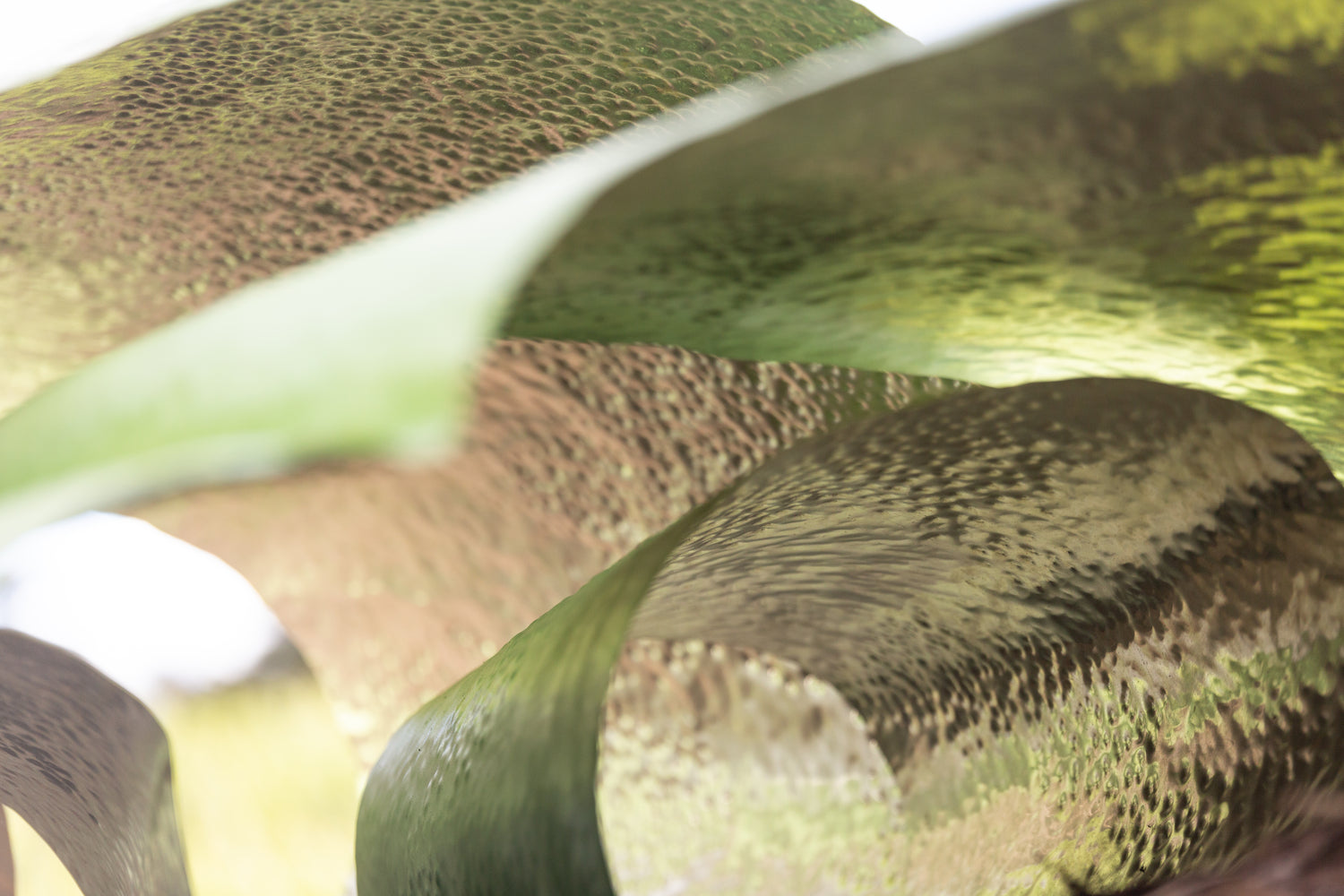 Small holes in the silence