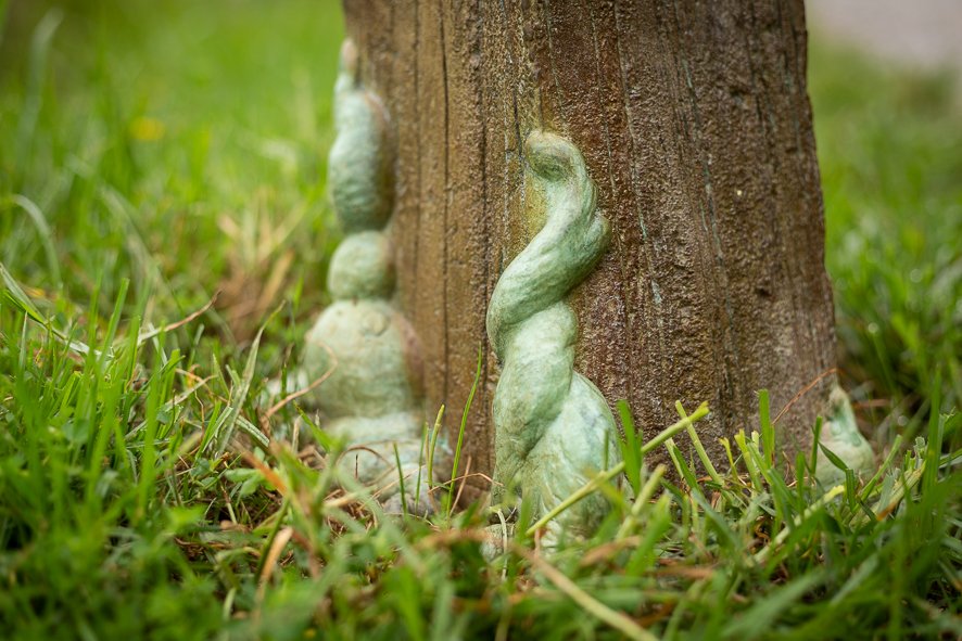 Regeneration Series: Puriri Gate Post