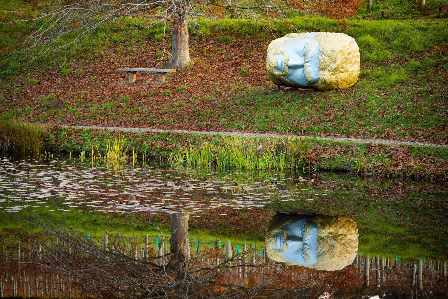 The Psychosis Chamber Of The Oracle