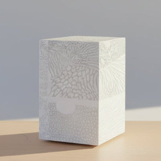 Chauncey Flay - Seawall