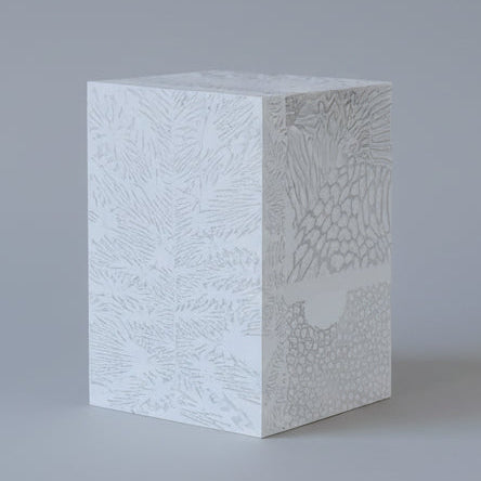 Chauncey Flay - Seawall