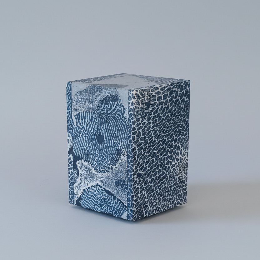 Chauncey Flay - Seawall