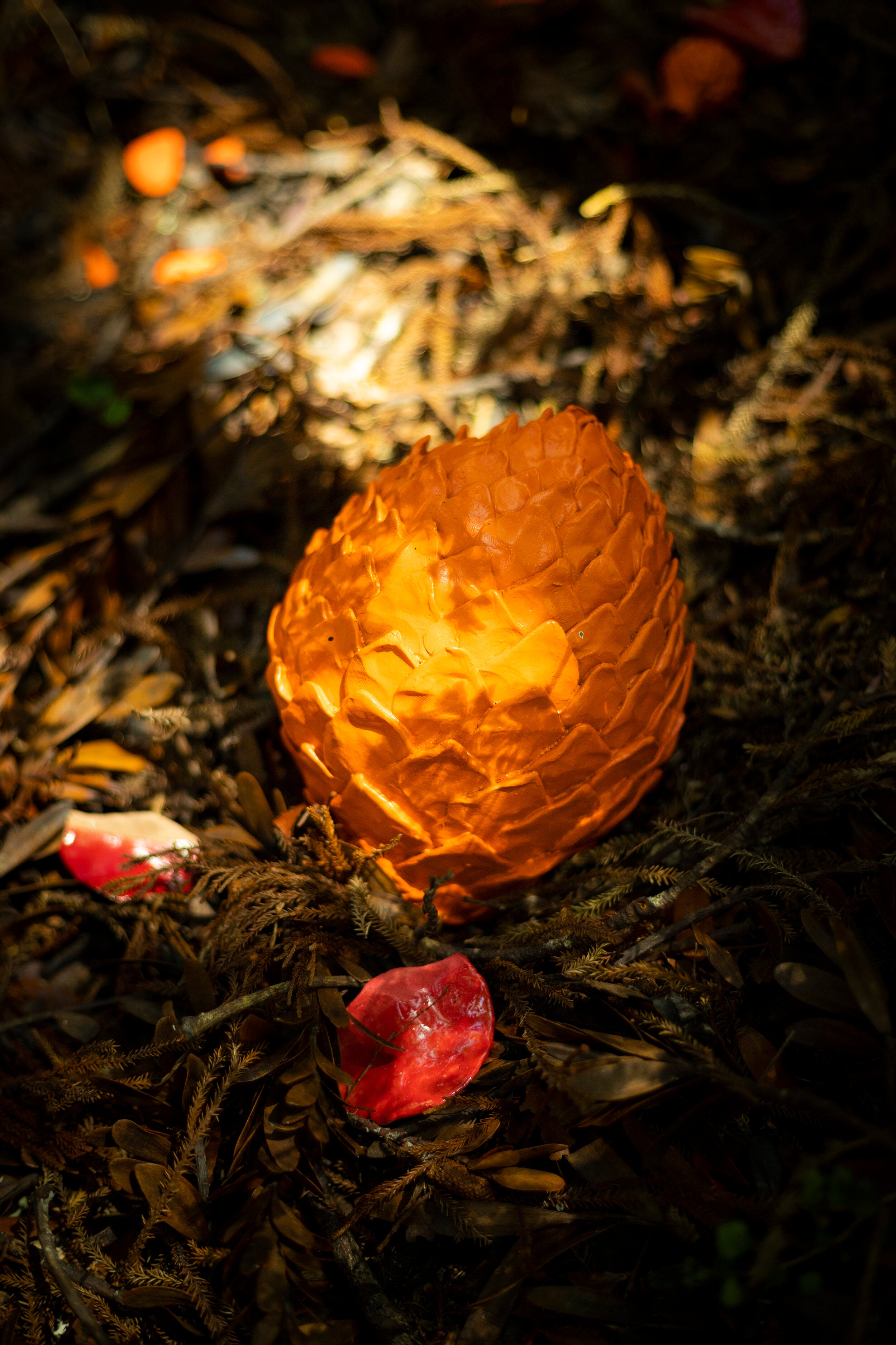 Natural Processes (Cy)