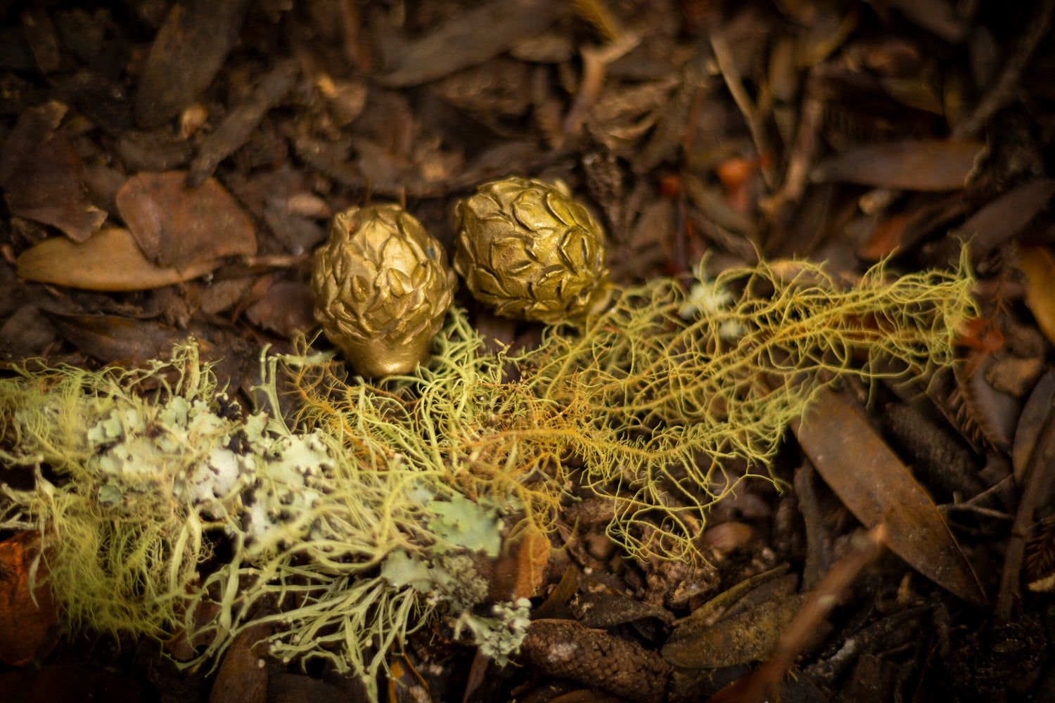 Natural Processes (Cy)