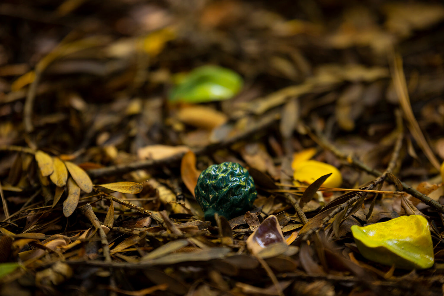 Natural Processes (Cy)