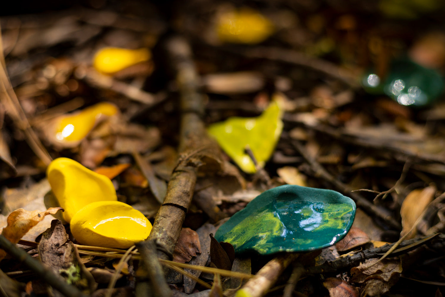 Natural Processes (Cy)