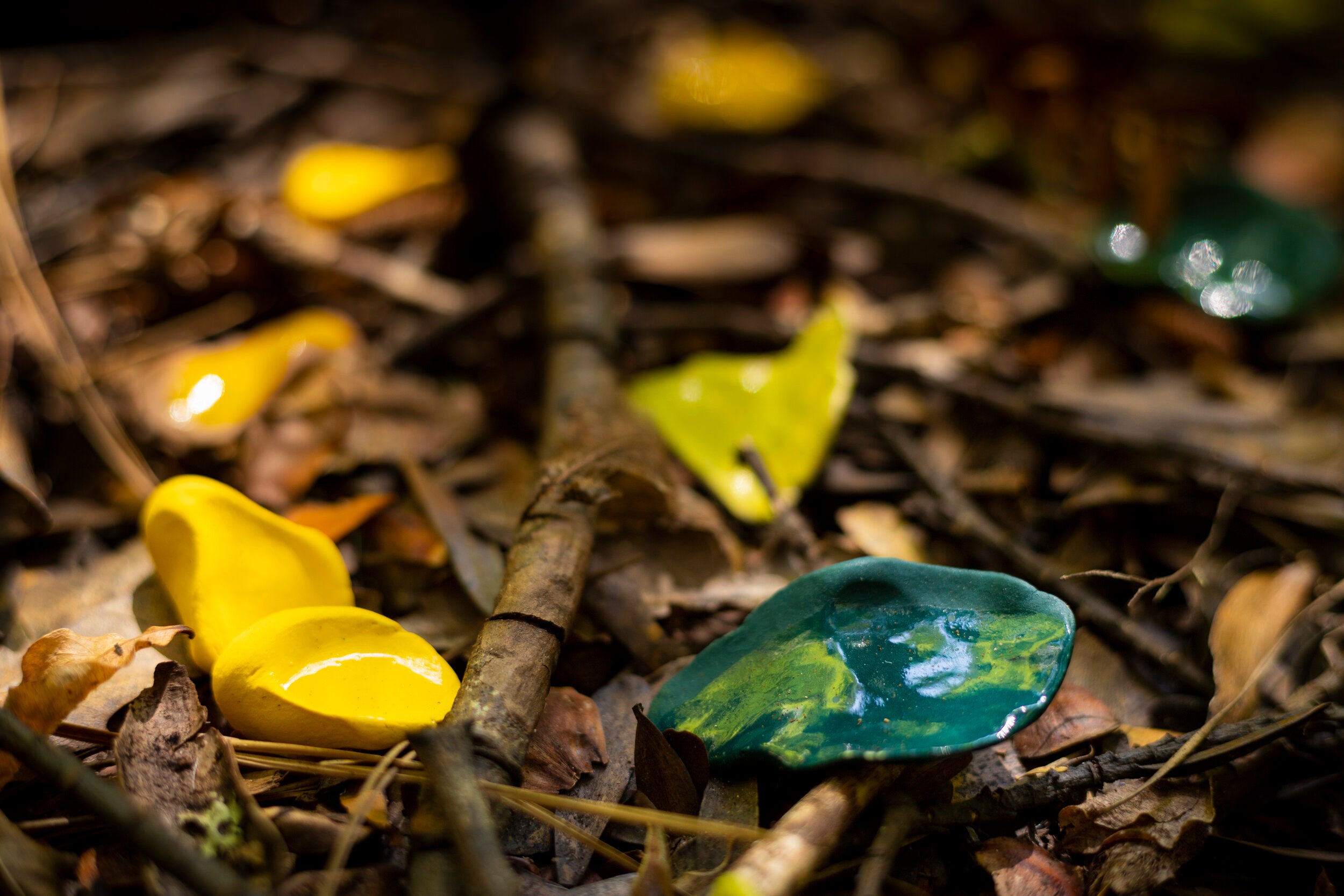 Natural Processes (Cy)