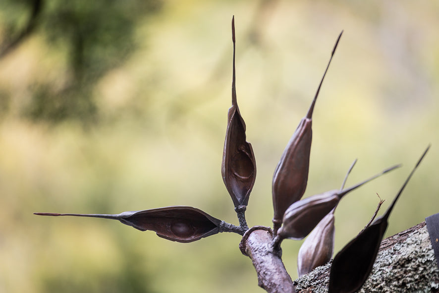 Exotic Native. Immigrants&