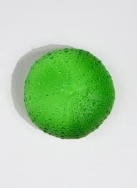 Rebecca Heap - Sea Urchins/ Kina Medium