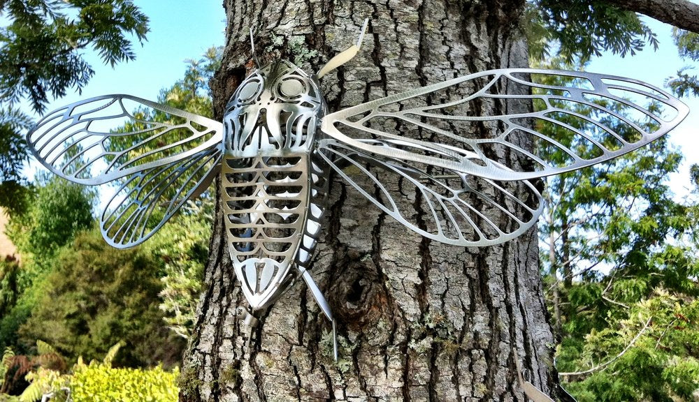 Virginia King, Cicada (open wings)