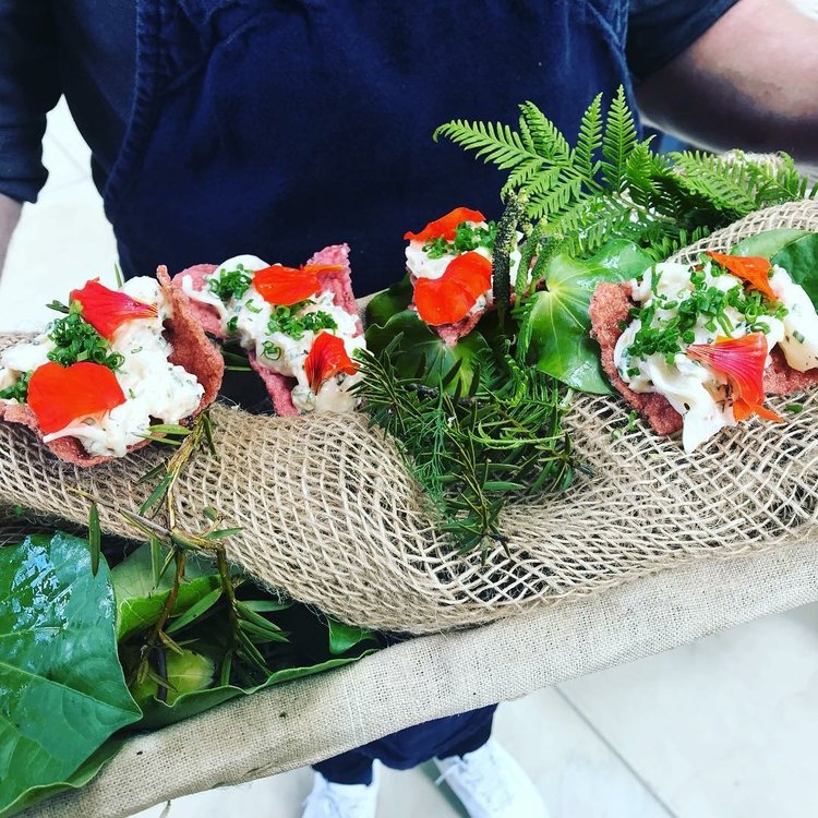 Feast Matakana: Ben Bayly Private Lunch At The Big House
