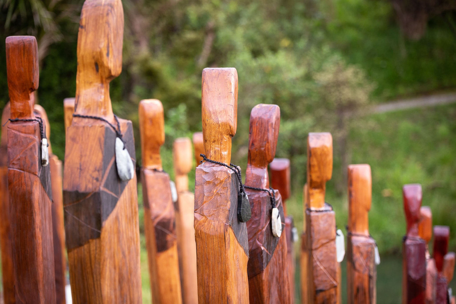 Introducing Ngā Manaaki
