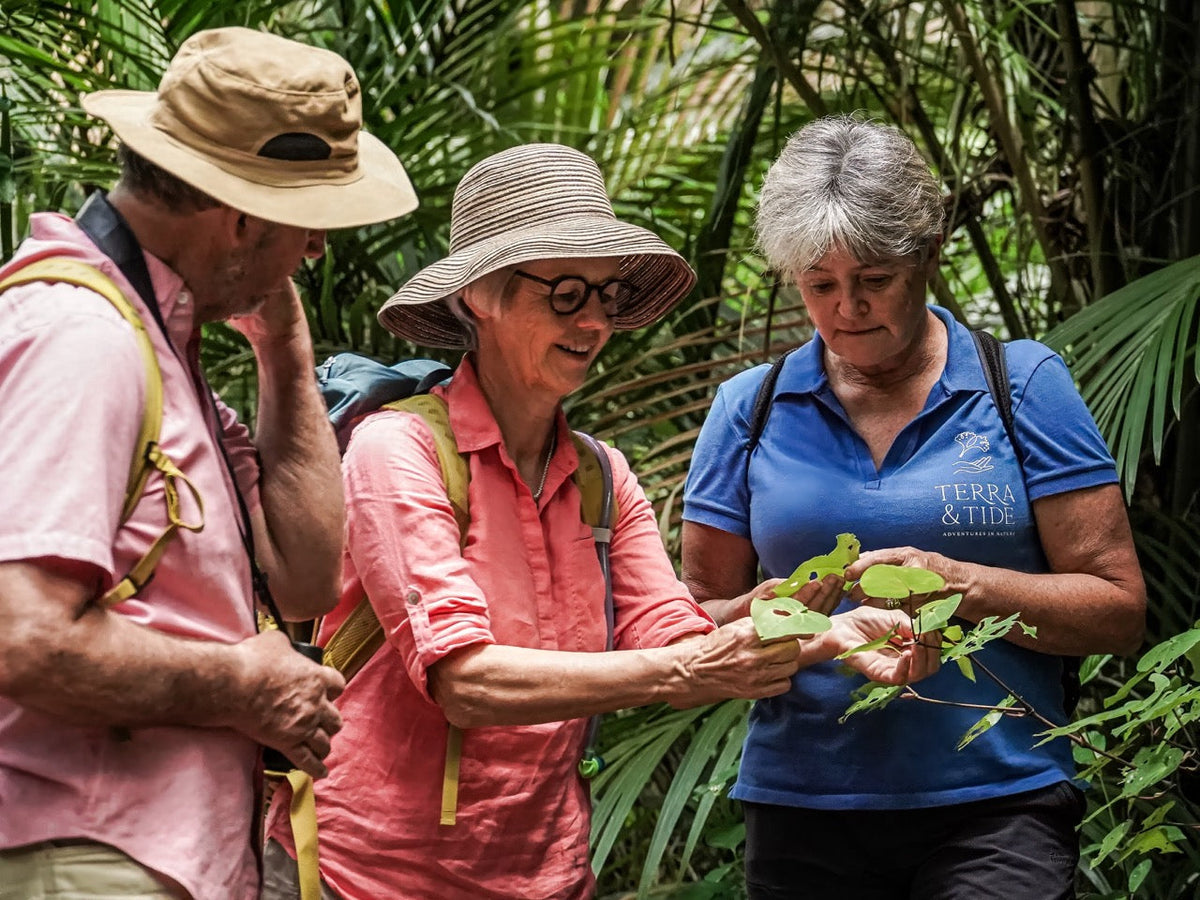 Explore Matakana with Terra & Tide: Art, Wine, Food and Nature