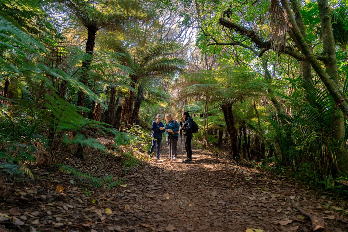 Explore Matakana with Terra & Tide: Art, Wine, Food and Nature