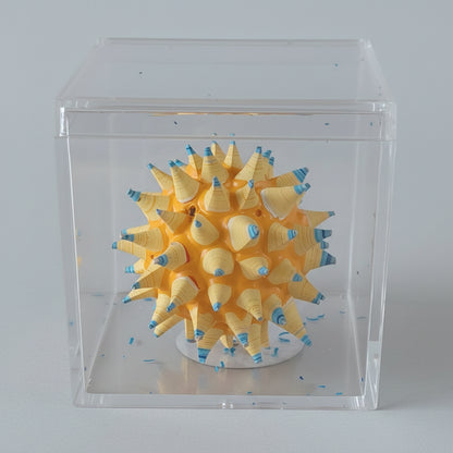 The Star Seed - Small