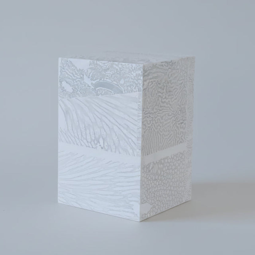 Chauncey Flay - Seawall 