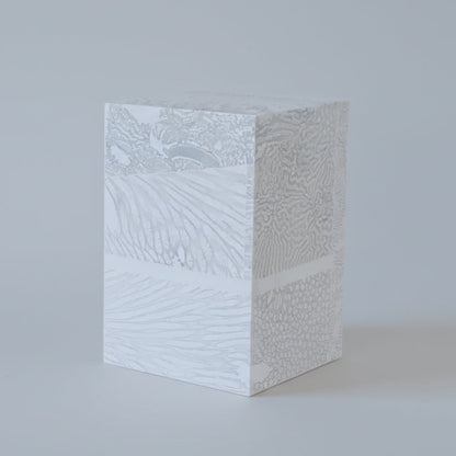 Chauncey Flay - Seawall 