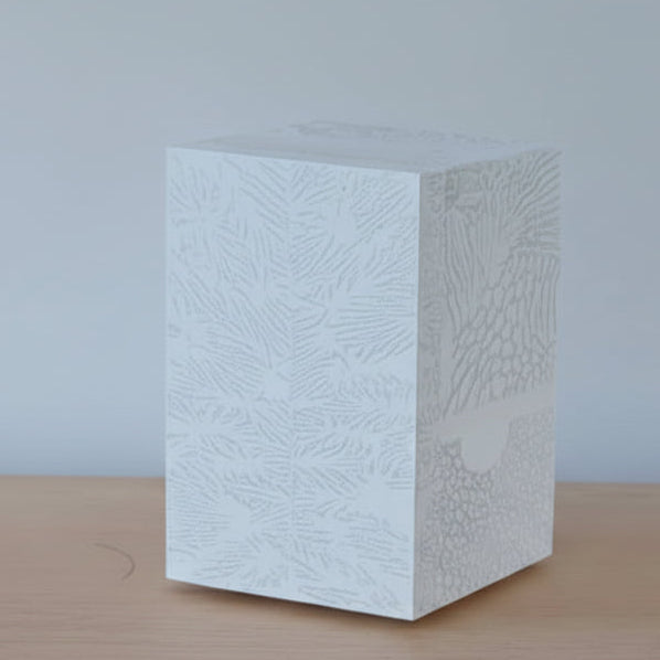 Chauncey Flay - Seawall 