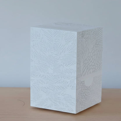 Chauncey Flay - Seawall 