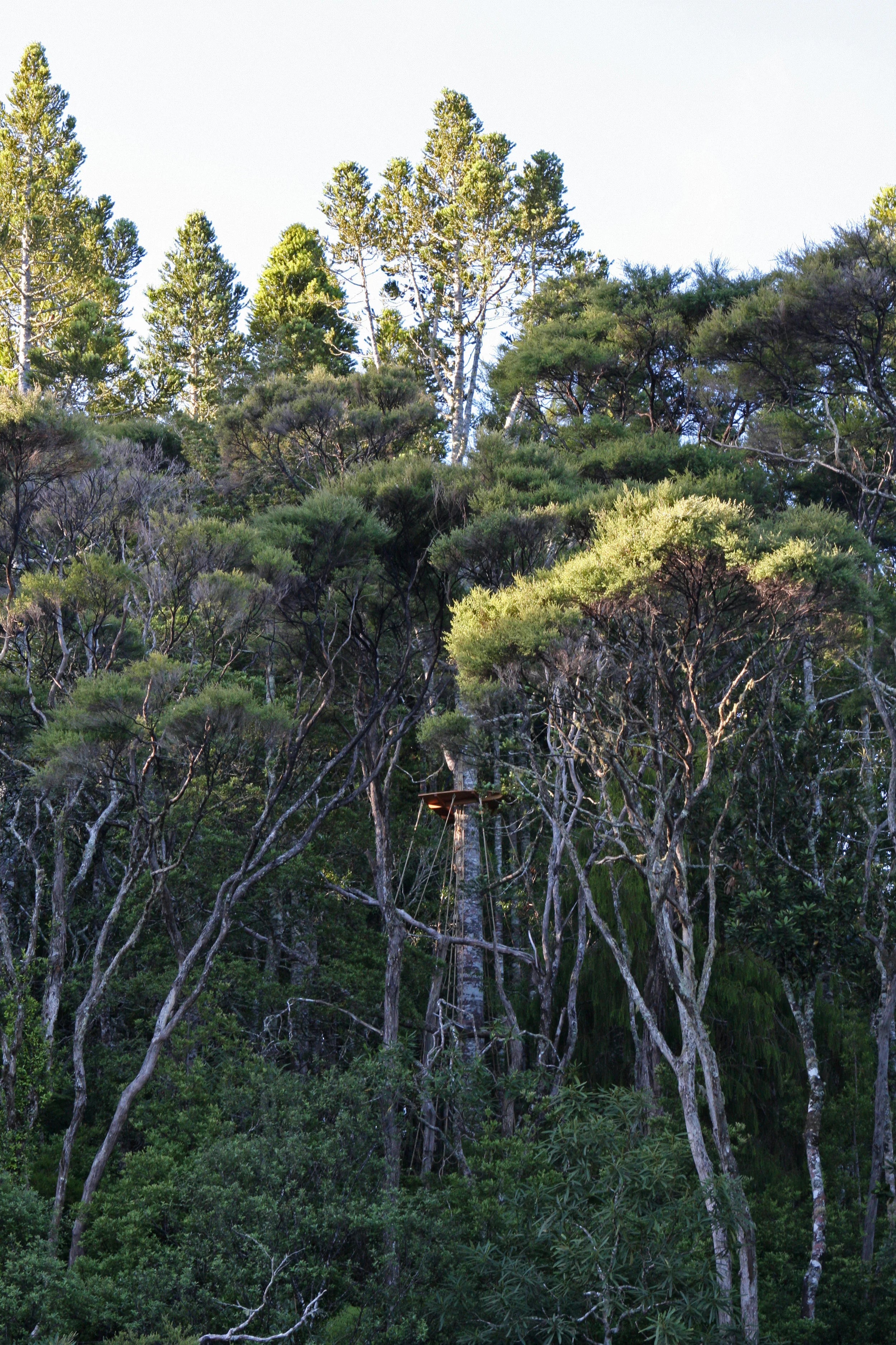 A Stick of First Rate Quality