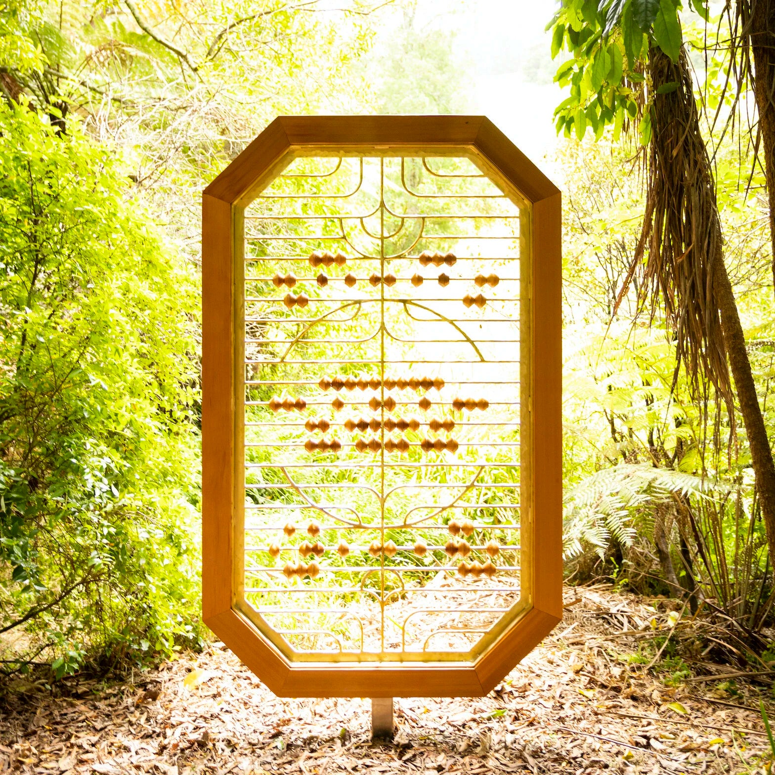 Counting Frame for Alternative Economic Structures