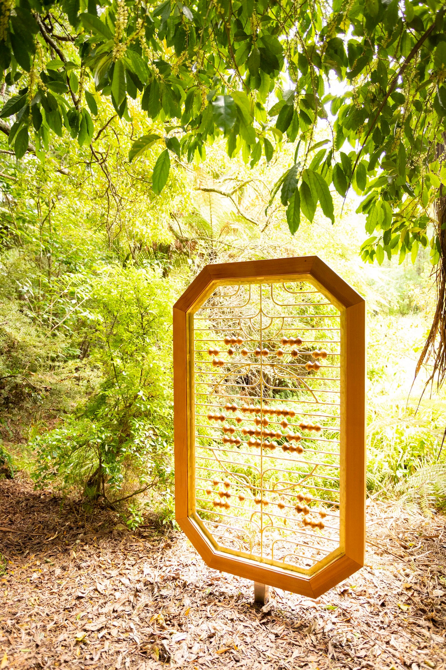 Counting Frame for Alternative Economic Structures