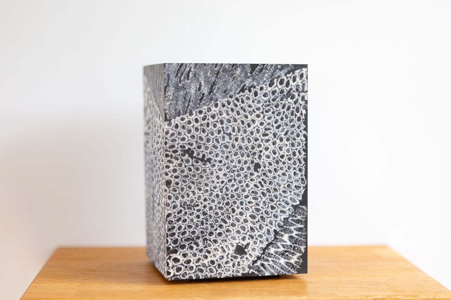 Chauncey Flay - Seawall 