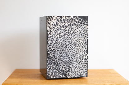 Chauncey Flay - Seawall 