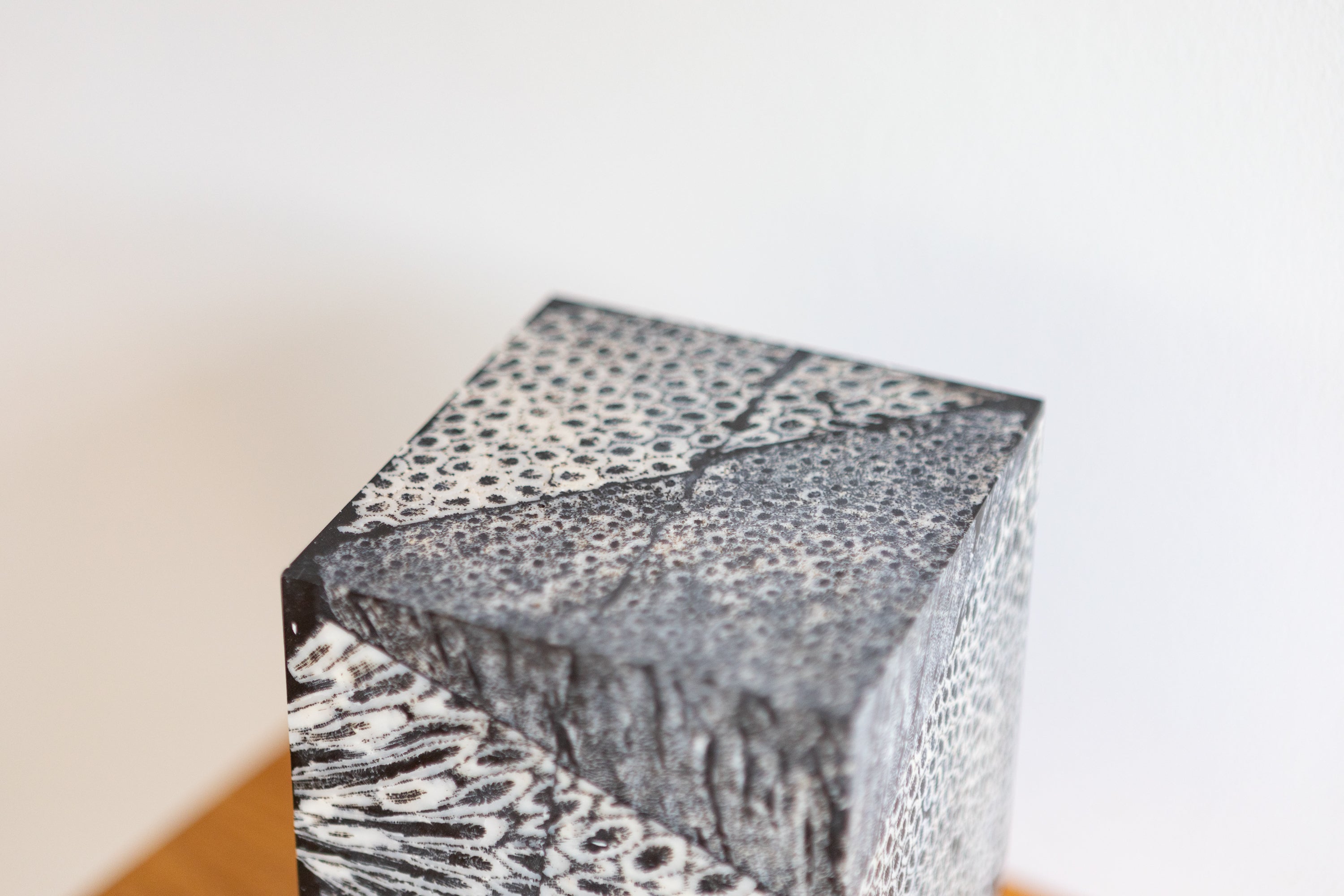 Chauncey Flay - Seawall 