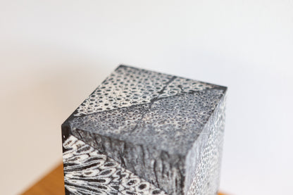 Chauncey Flay - Seawall 