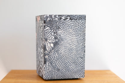 Chauncey Flay - Seawall 