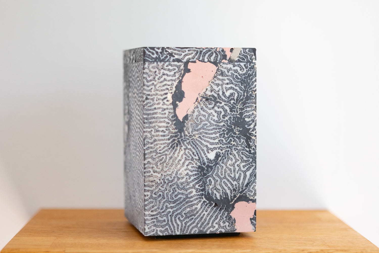 Chauncey Flay - Seawall 